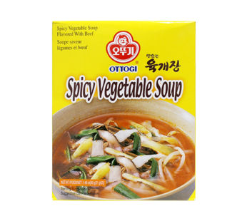 OTTOGI Spicy Beef (Delicious Yukgaejang) Soup Block 42g (21g x 2)